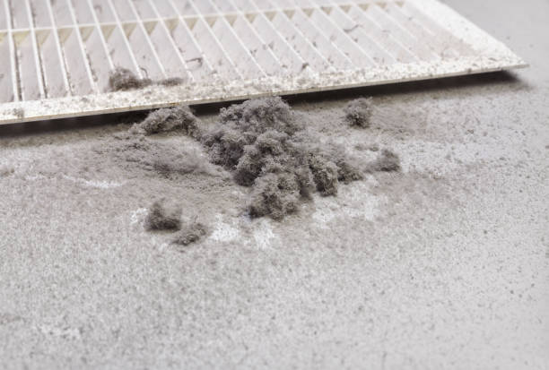 Best Home Air Vent Cleaning  in Edinburg, VA