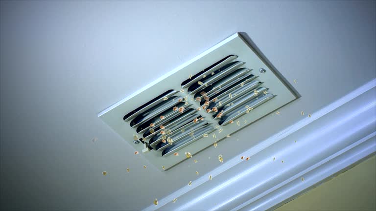 Best Emergency Air Duct Cleaning  in Edinburg, VA
