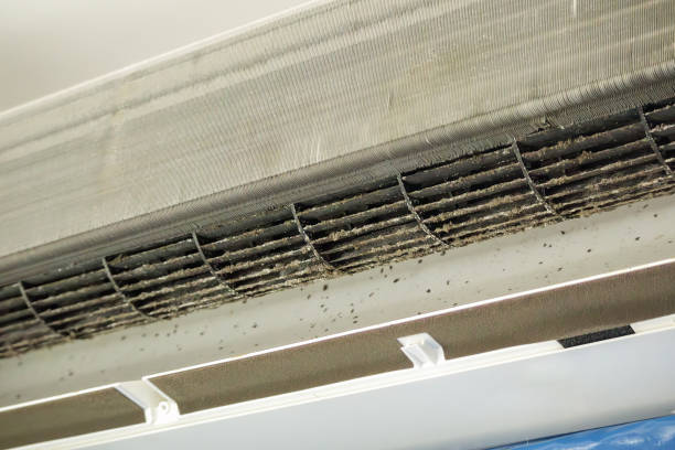 Best Residential Air Duct Cleaning  in Edinburg, VA