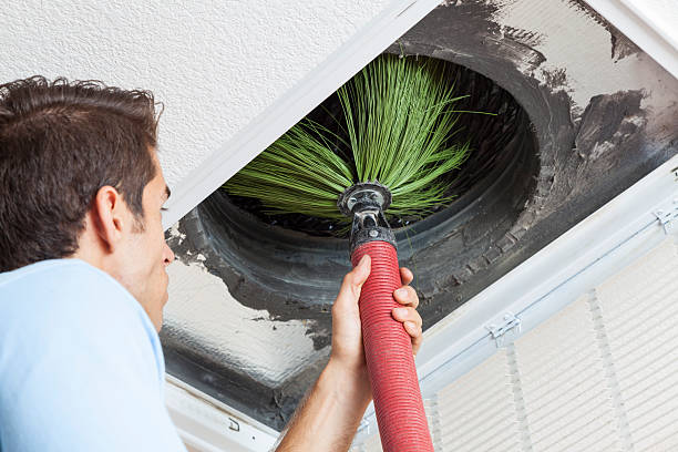 Best Affordable Air Duct Cleaning  in Edinburg, VA